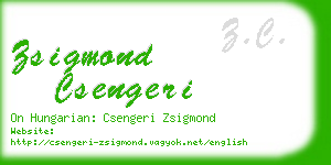 zsigmond csengeri business card
